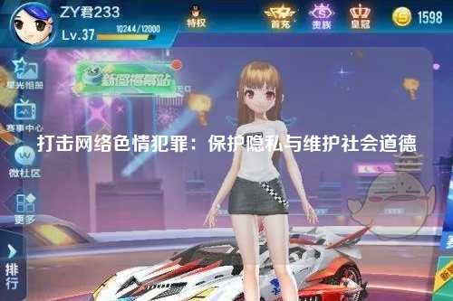 打击网络色情犯罪：保护隐私与维护社会道德