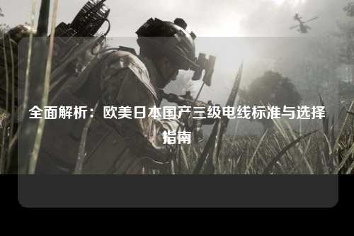 全面解析：欧美日本国产三级电线标准与选择指南
